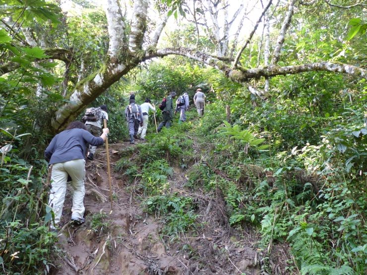 hiking mountain mahale