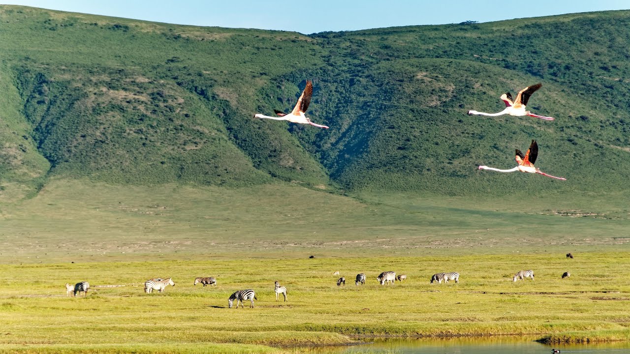 ngorongoro crater 
