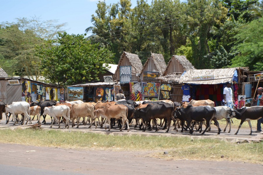 Mto Wa Mbu Cultural Tourism  