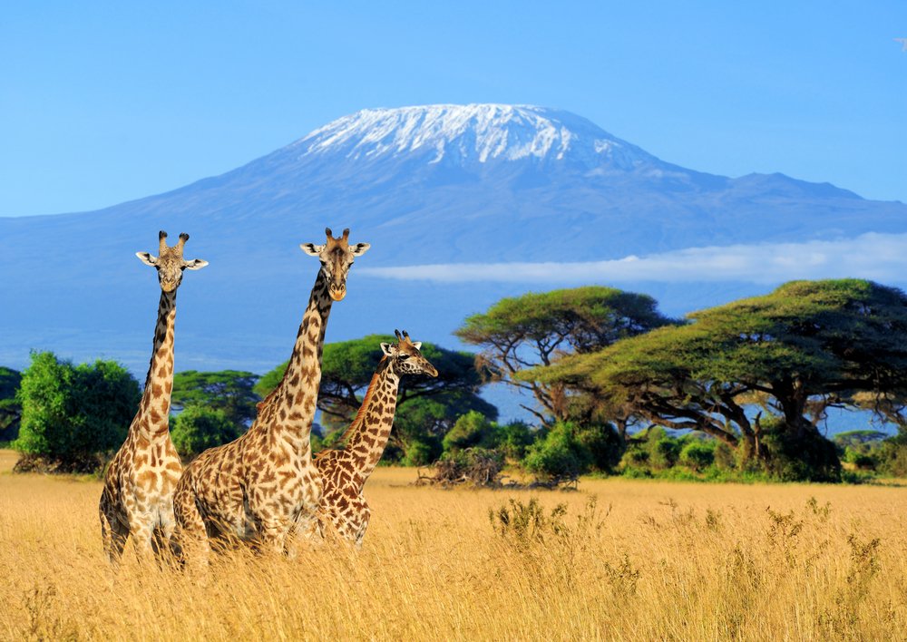 When is the best time to visit Tanzania?