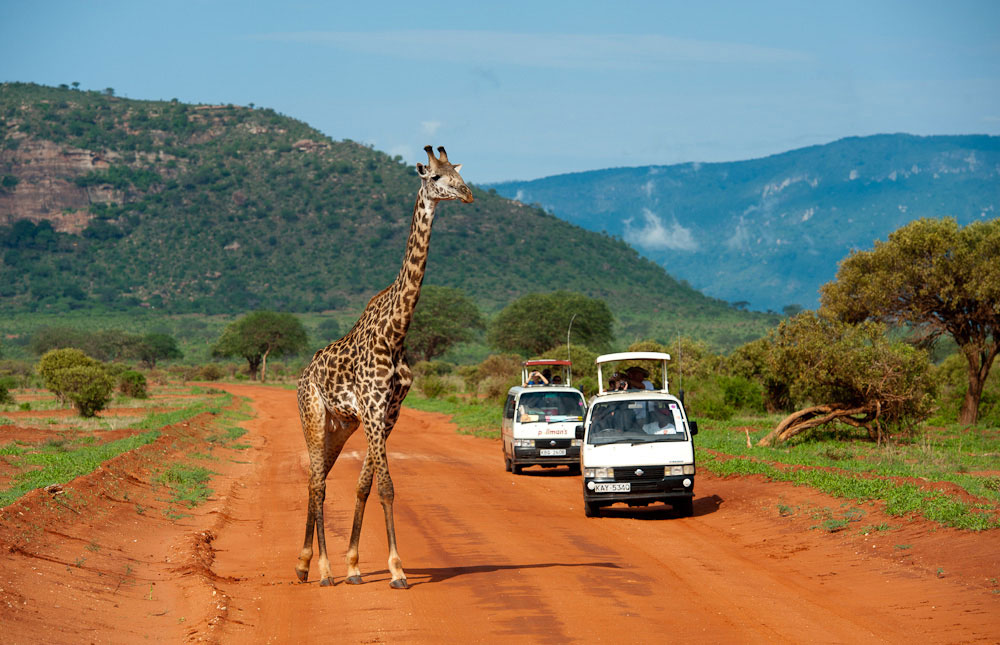 16 Days Luxury Kenya Wildlife and Beach Safari