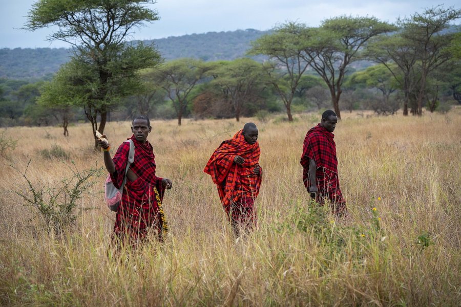 13 Days Kenya and Tanzania Safari