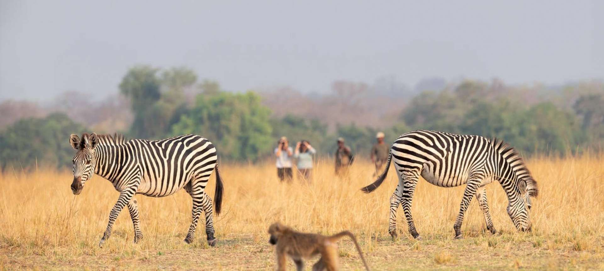 16 daagse safari best of kenya