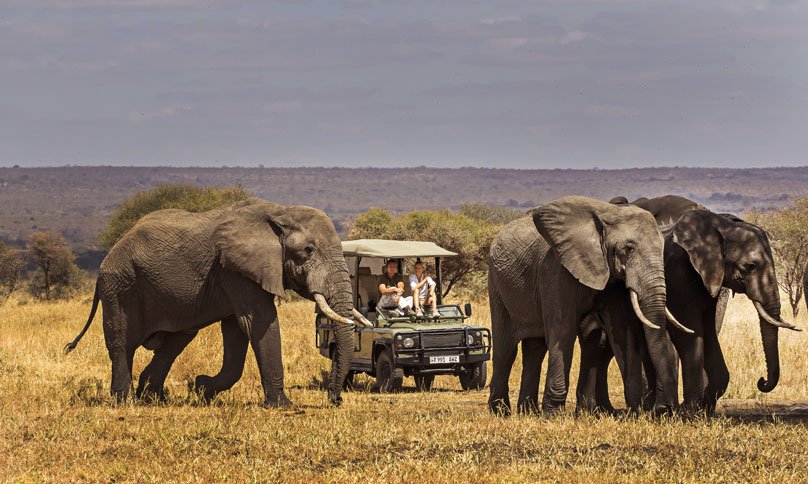 4 Days Tarangire, Ngorongoro and Serengeti Safari