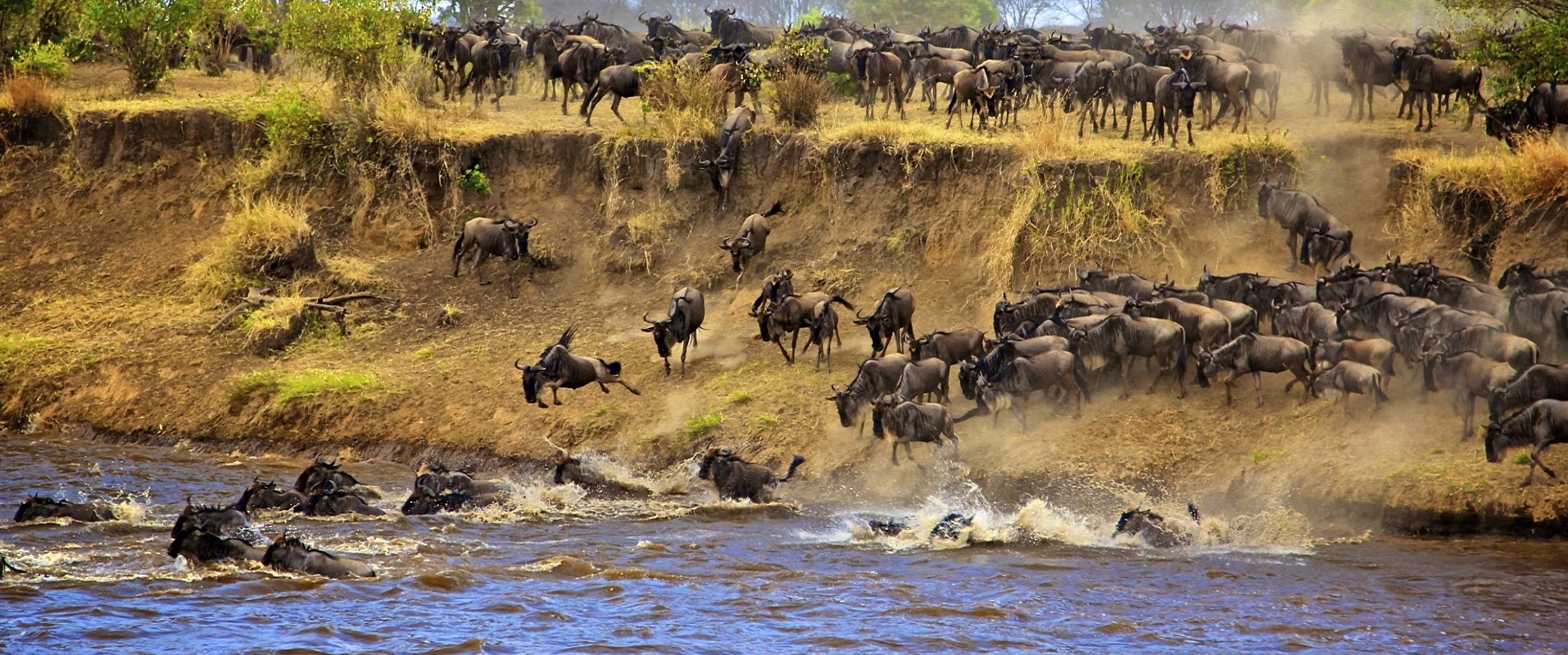 Masai Mara Great Migration 2023