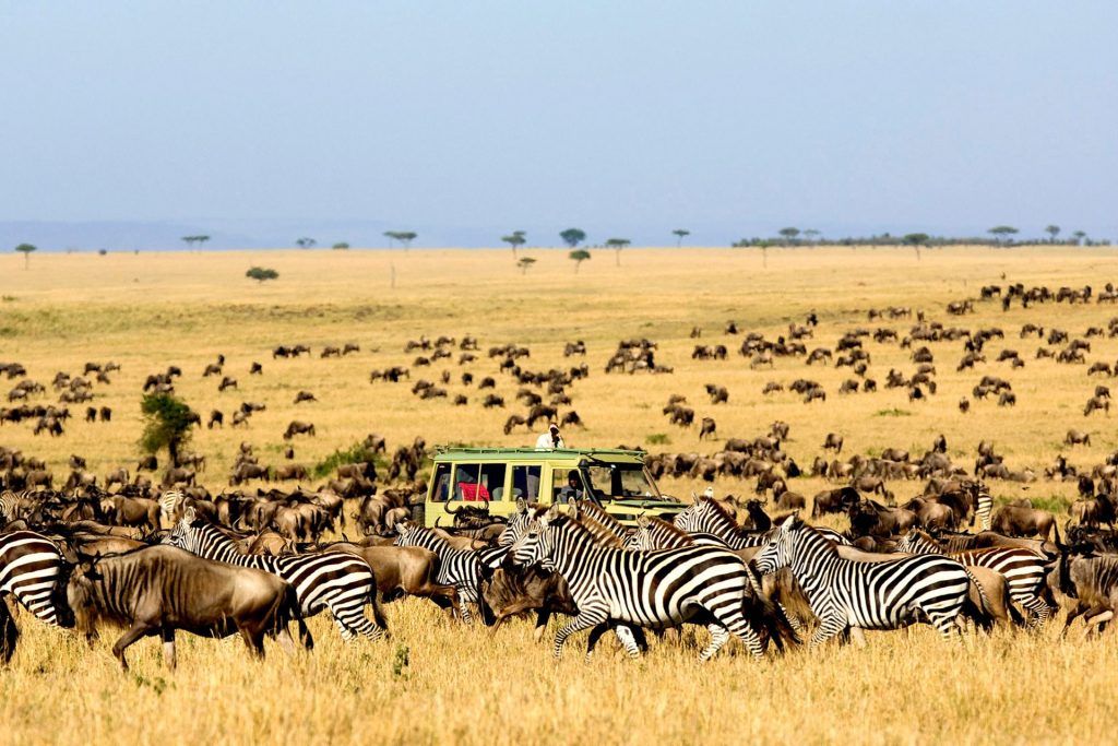 3 Day Serengeti national park safari