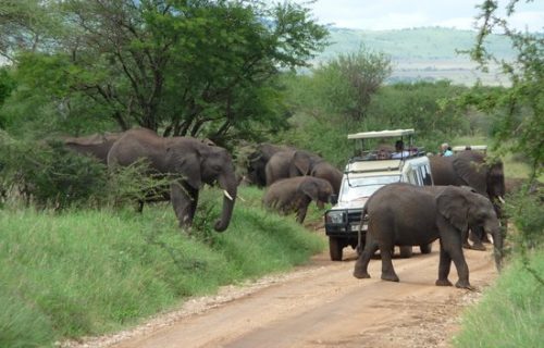 2 Days Tarangire Safari