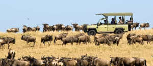 6 Days Tarangire and Serengeti Safari