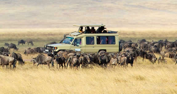 3 Days Tanzania Safari