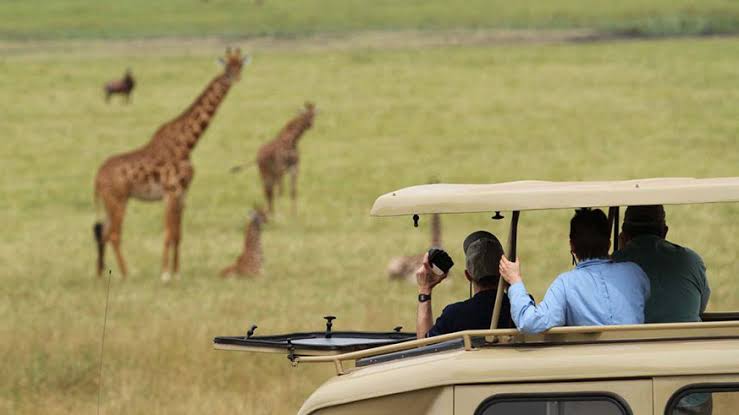 1 Day Akagera National Park Safari