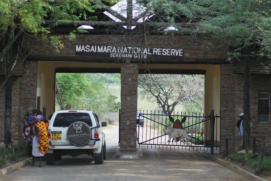 Masai Mara National Reserve Entry Fees 2023 -2024