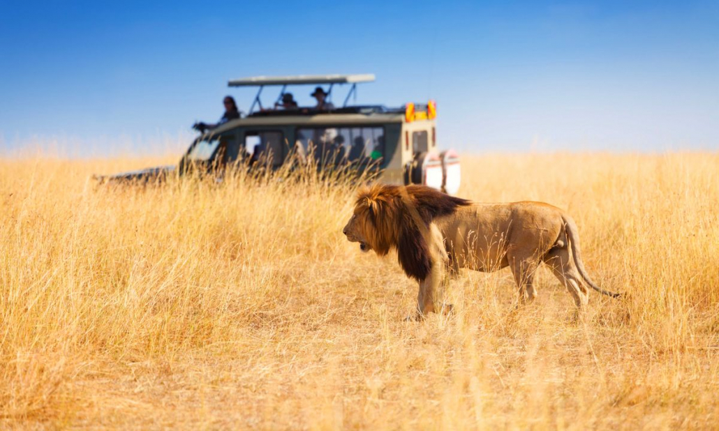 Tanzania National Park Rules and Regulations | Tanzania Safaris Tours