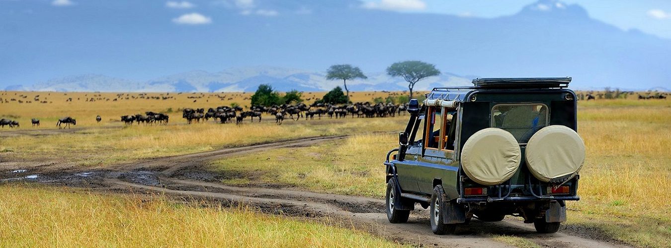 The Reason why it is Good / Tanzania Safari During the Low Season
