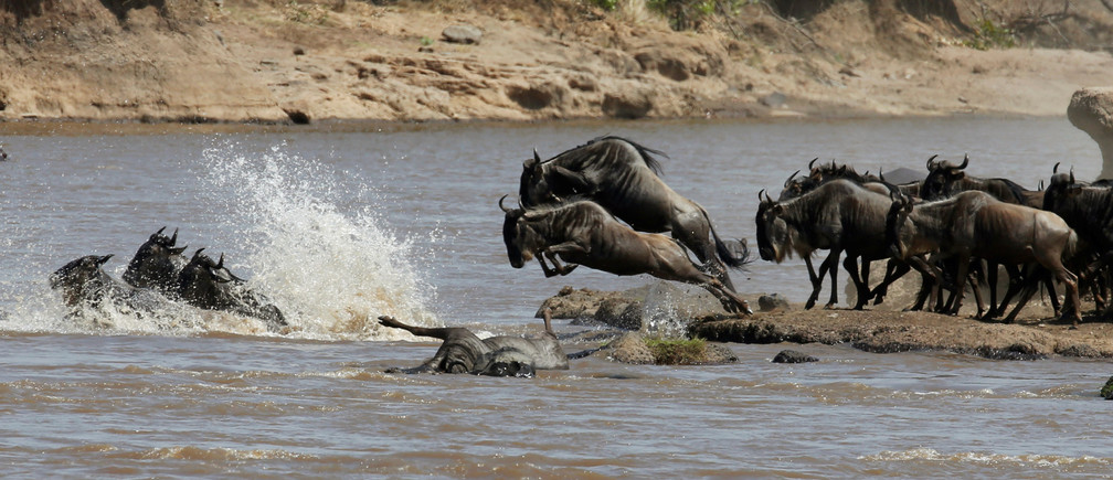 Mara River 