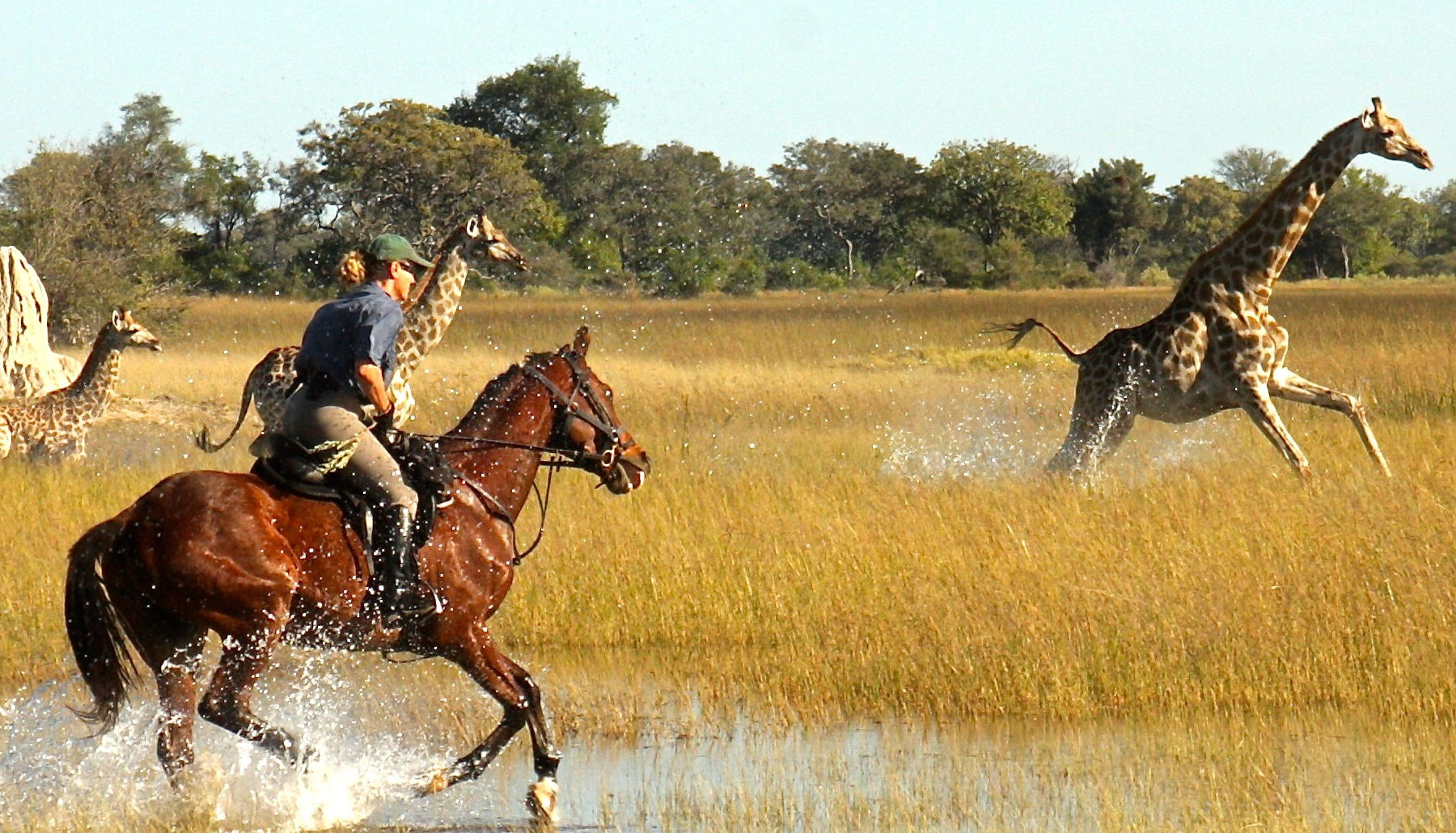 Things to do in Maasai Mara National Reserve | Activities in Maasai mara