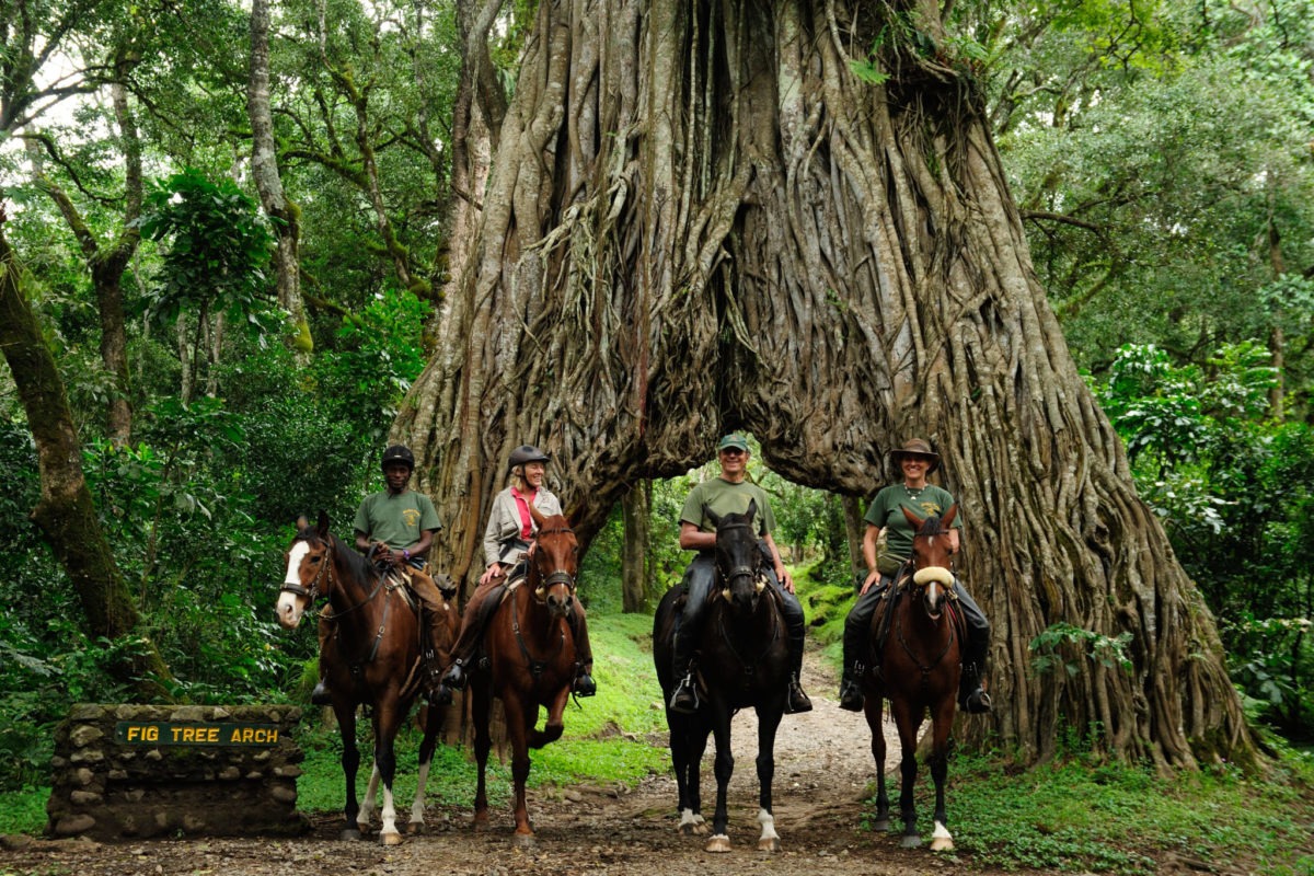 2 days Arusha National Park Safari Tour