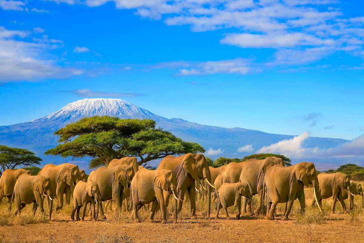 tourism attractions in tanzania