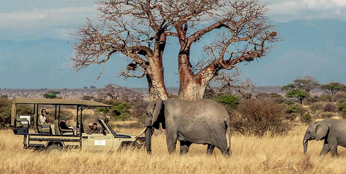 10 things to think about before planning for trip to Tanzania