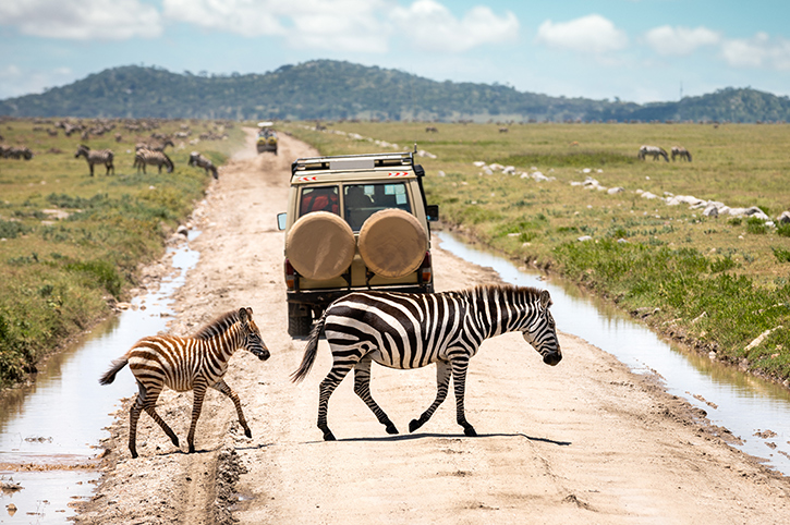 Frequently Asked Questions About Tanzania Safaris