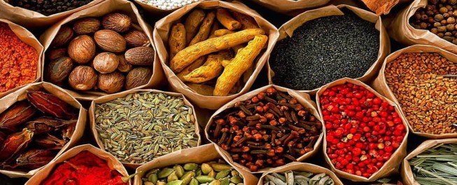 spice tours
