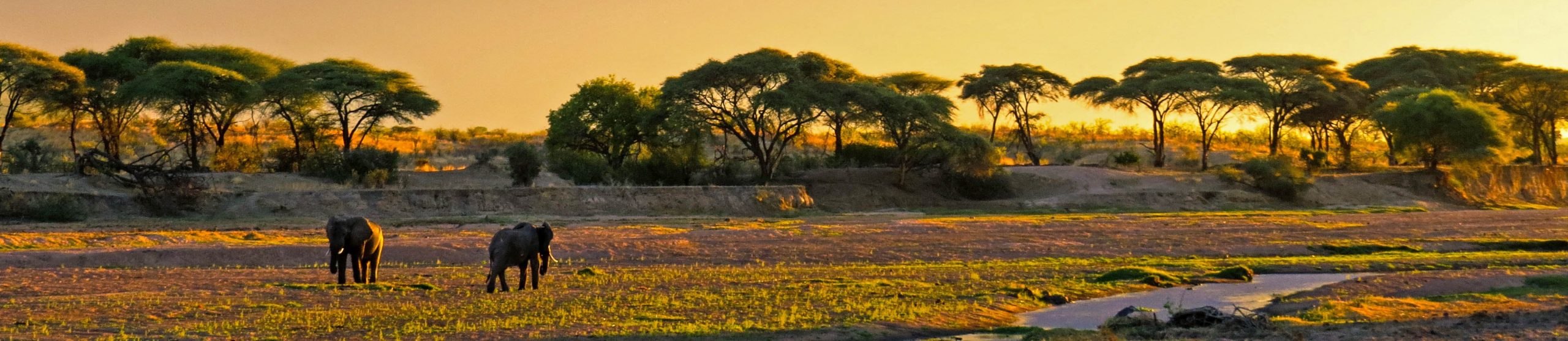 The Beauty of Ruaha National Park Ruaha National Park Tanzania
