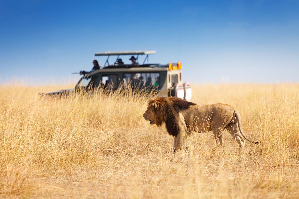 Top 10 things you shouldn’t do when you’re on safari in Africa