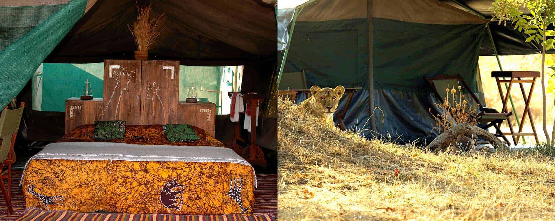 ruaha-tourist-camp-ruaha-national-park-explore-tanzania-tours