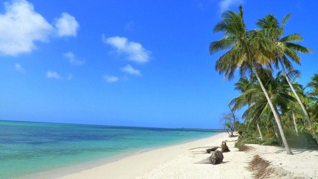 Embark On An Extraordinary Marine Safari In Tanzania
