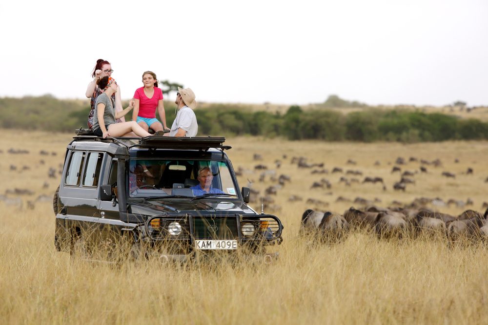 Evening game drive in Masai Mara