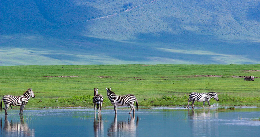 Solo Female Guide to Traveling in Tanzania in 2026