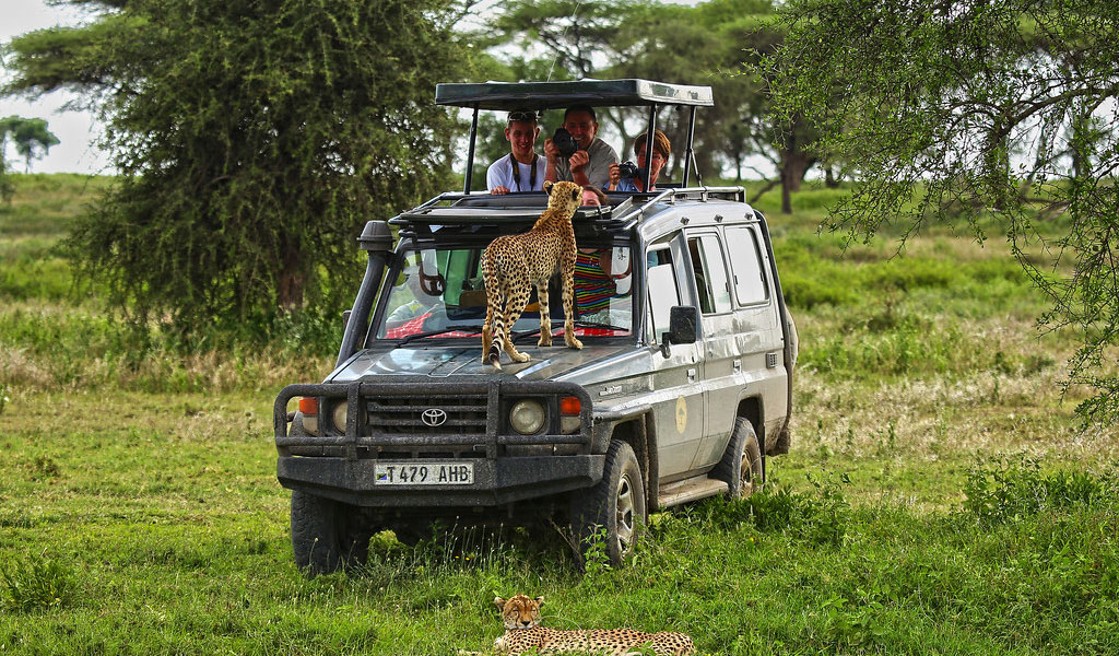 Best Time To Visit Tanzania
