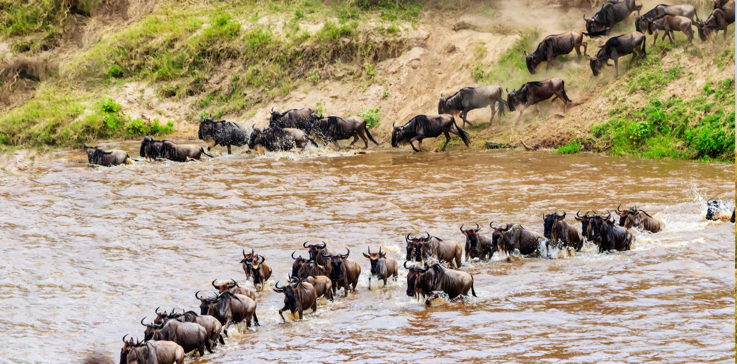When is the right time to go to the Serengeti?