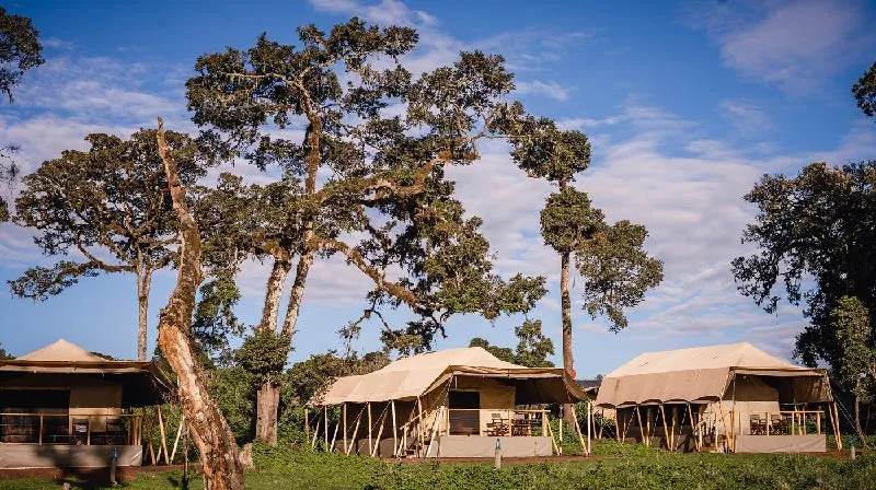 Ngorongoro Tortilis Camp