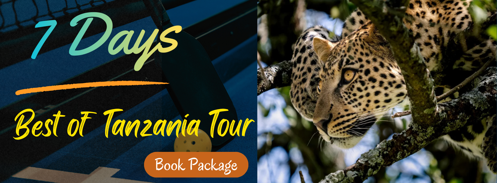 best Tanzania tours
