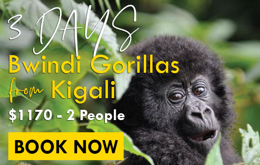 3-day tours
